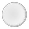 Ceiling Light T1M